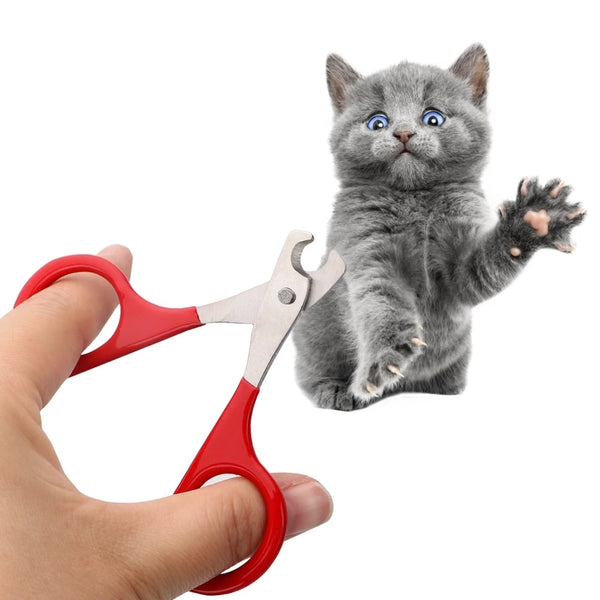 Coupe-ongles chat pour petit chien et chat 