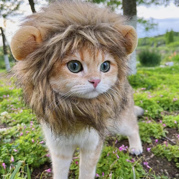 Gorro con peluca de león para perros y gatos 