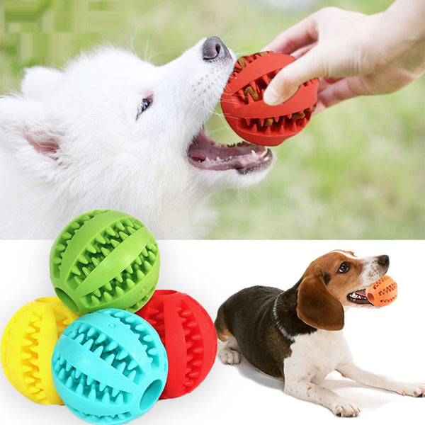 Jouet pour chien et chat balles en caoutchouc interactives nettoyage des dents indestructible