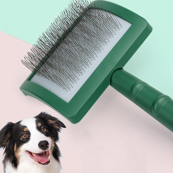 Pet  Hair Removal